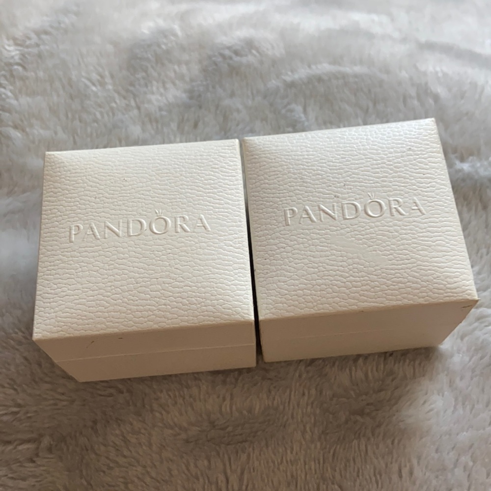 Pandora Charm Boxes